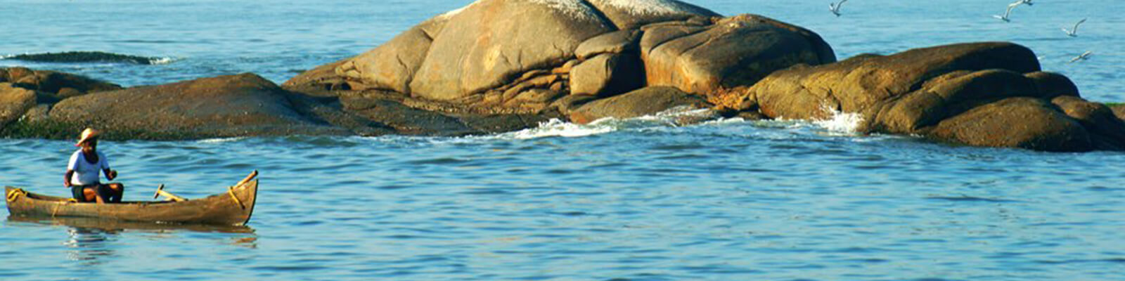 food-banner