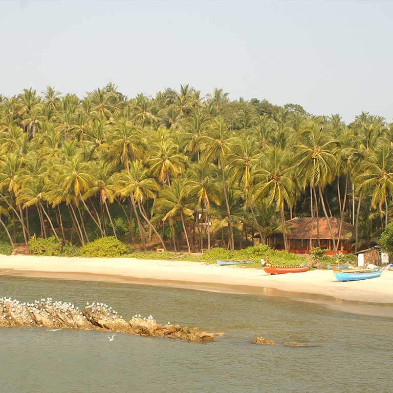 resort-7